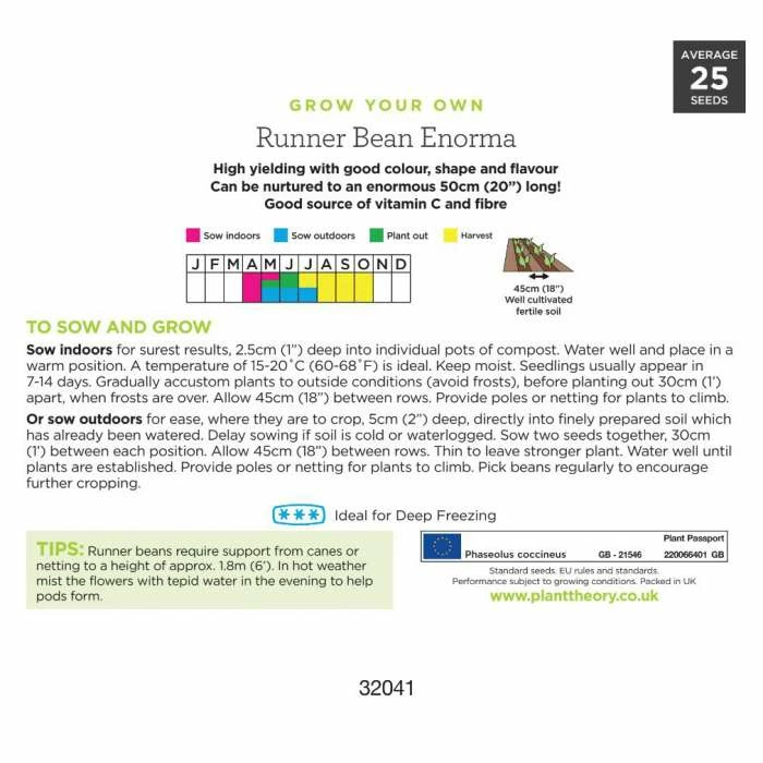 'Enorma' Runner Bean Seeds | By Plant Theory - Image 3