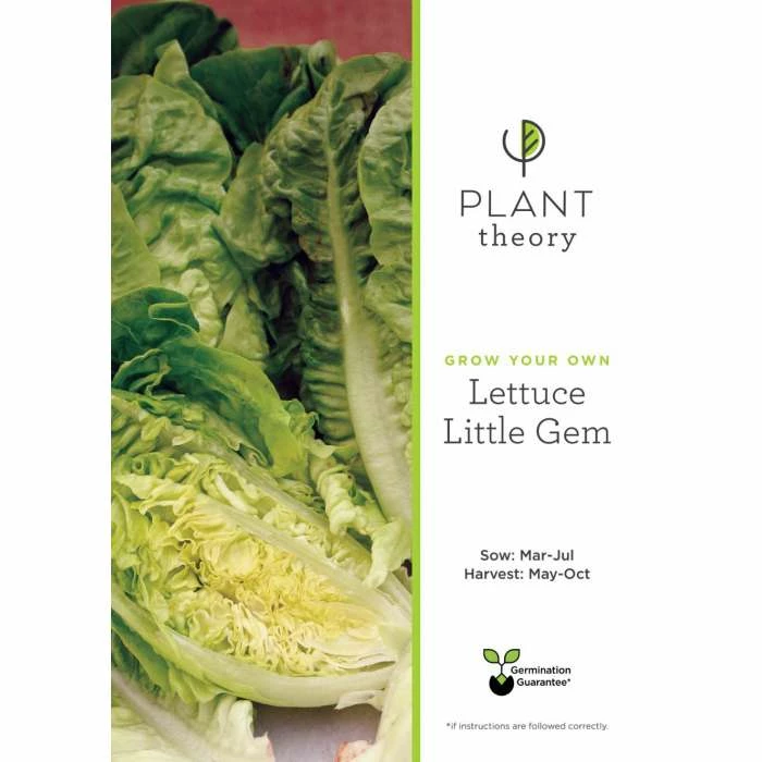 'Little Gem' Lettuce Seeds | By Plant Theory - Image 2