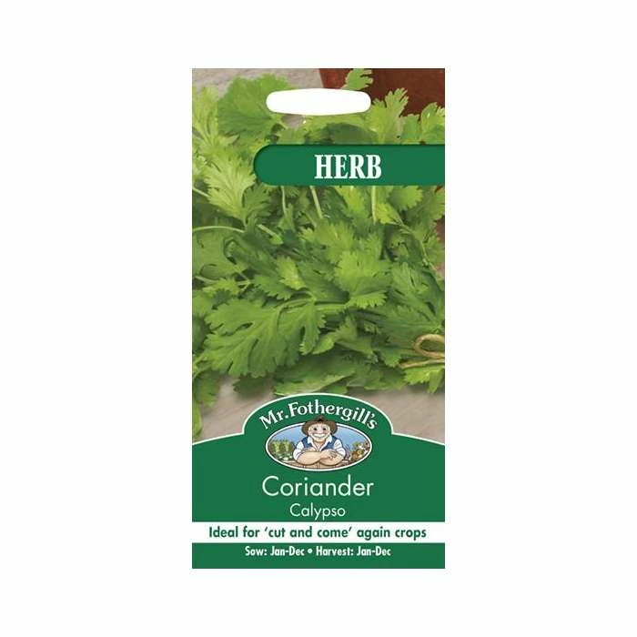 Coriander 'Calypso' Seeds | Coriandrum Sativum | By Mr Fothergills - Image 2
