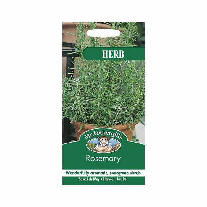 Rosemary Seeds | Rosmarinus Officinalis | By Mr Fothergills - Image 2