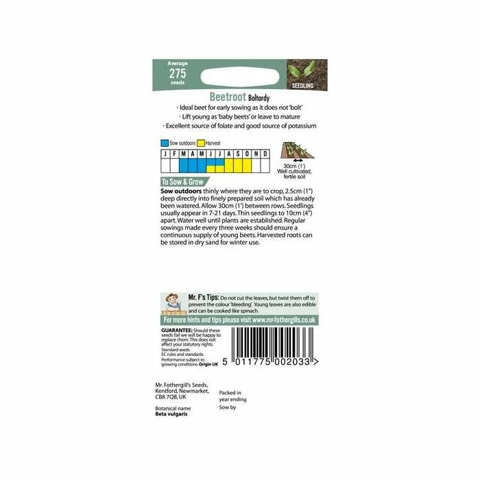 Beetroot 'Boltardy' Seeds | Beta Vulgaris | By Mr Fothergills - Image 3
