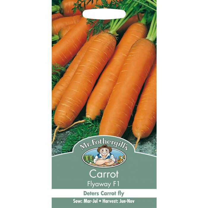 Carrot 'Flyaway F1' Seeds | Daucus Carota | By Mr Fothergills - Image 2