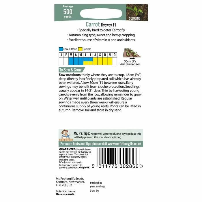 Carrot 'Flyaway F1' Seeds | Daucus Carota | By Mr Fothergills - Image 3