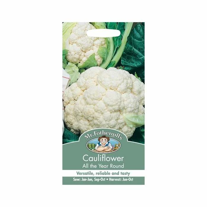 Cauliflower 'All Year Round' Seeds | Brassica Oleracea Botrytis | By Mr Fothergills - Image 2