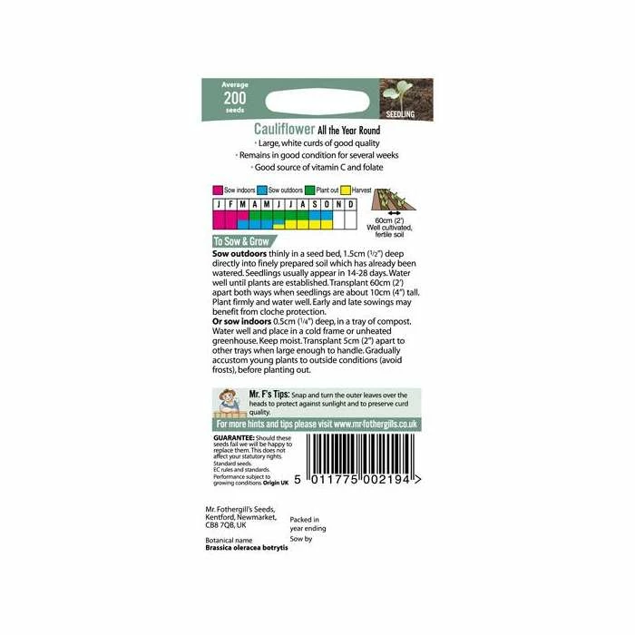 Cauliflower 'All Year Round' Seeds | Brassica Oleracea Botrytis | By Mr Fothergills - Image 3