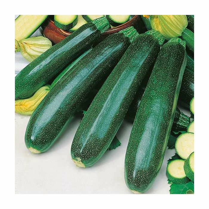 Courgette 'Zucchini' Seeds | Cucurbita Pepo | By Mr Fothergills