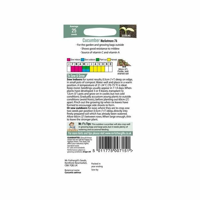 Cucumber 'Marketmore 76' Seeds | Cucumis Sativus | By Mr Fothergills - Image 3