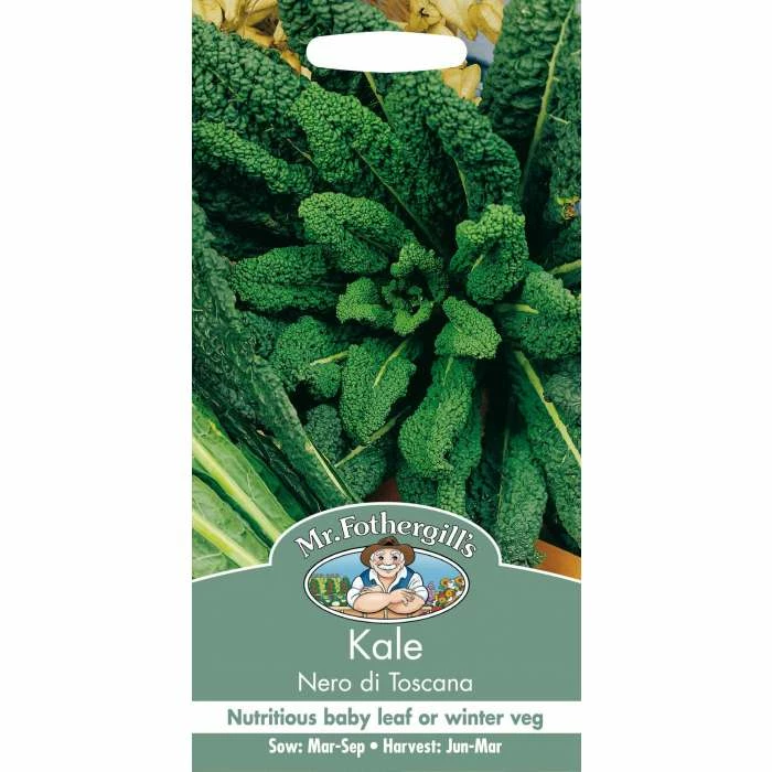 Kale 'Nero Di Toscana' Seeds | Brassica Oleracea Acephala | By Mr Fothergills - Image 2