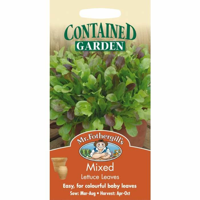 Mixed Lettuce Leaves Lettuce Seeds | Lactuca Sativa | By Mr Fothergills - Image 2