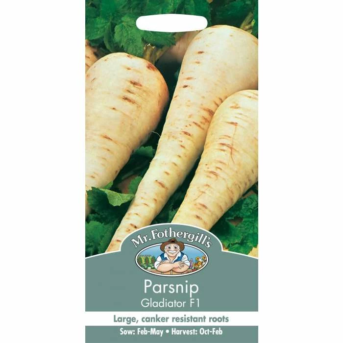 Parsnip 'Gladiator F1' Seeds | Pastinaca Sativa | By Mr Fothergills - Image 2