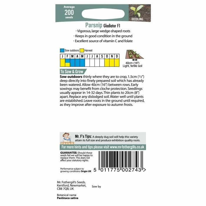 Parsnip 'Gladiator F1' Seeds | Pastinaca Sativa | By Mr Fothergills - Image 3