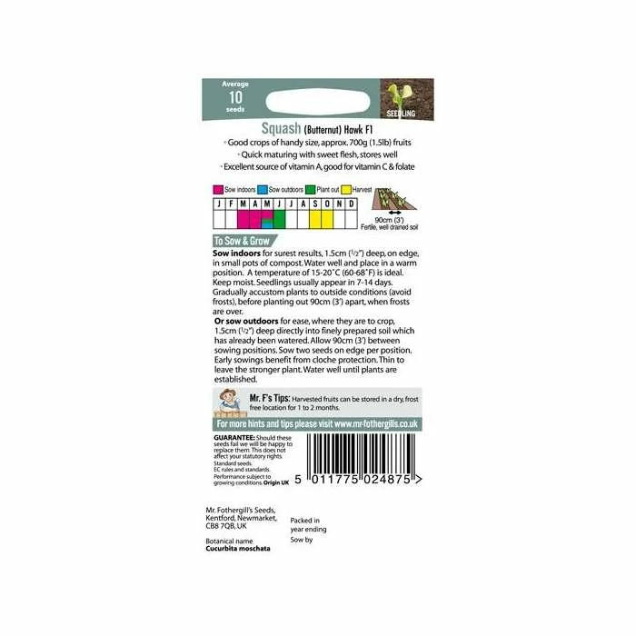 Butternut Squash 'Hawk F1' Seeds | Cucurbita Moschata | By Mr Fothergills - Image 3