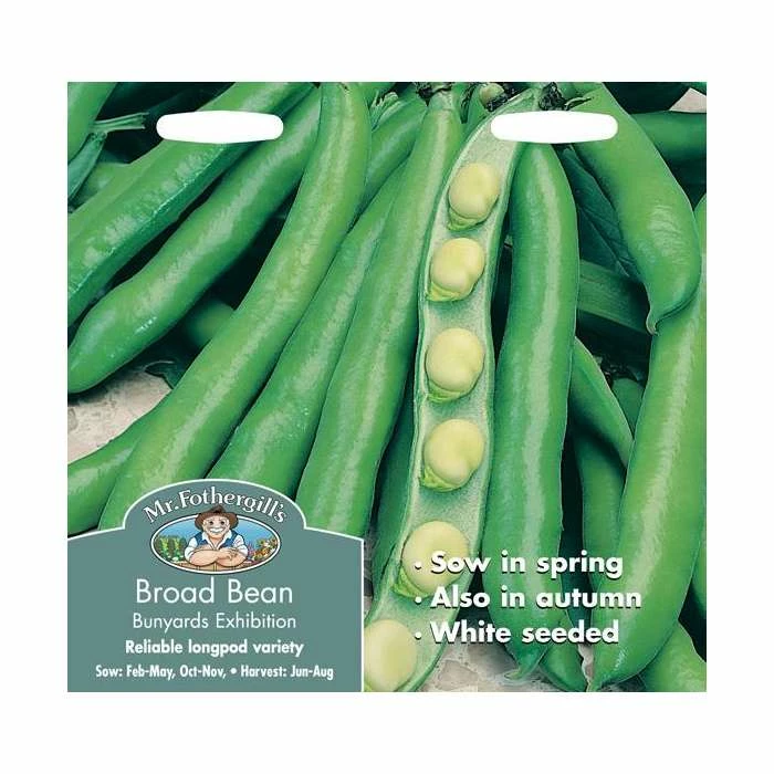 BroadBean 'Bunyard's Exhibition' Seeds | Vicia Faba | By Mr Fothergills - Image 2