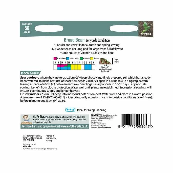 BroadBean 'Bunyard's Exhibition' Seeds | Vicia Faba | By Mr Fothergills - Image 3