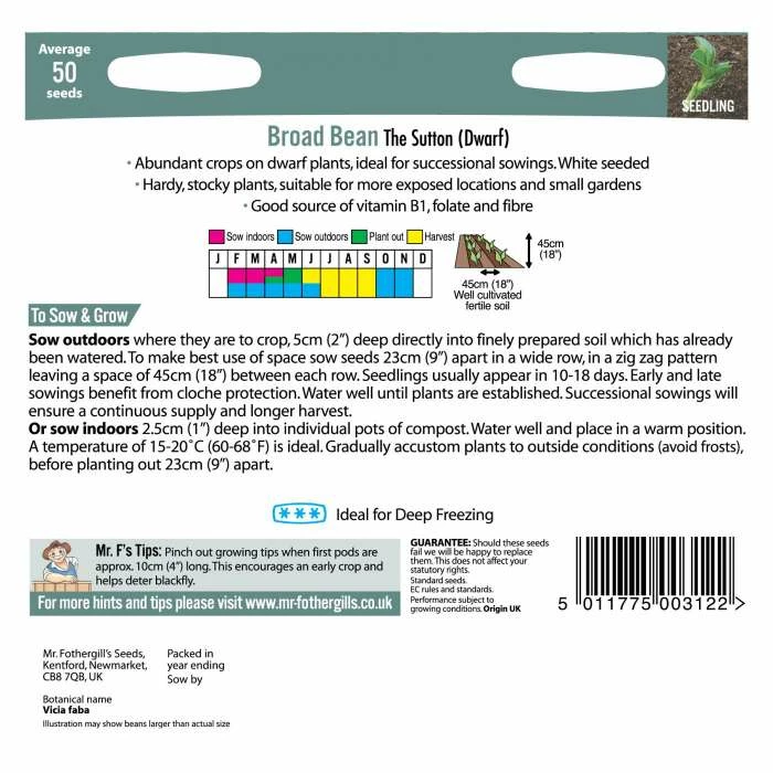 Dwarf Broad Bean 'The Sutton' Seeds | Vicia Faba | By Mr Fothergills - Image 3