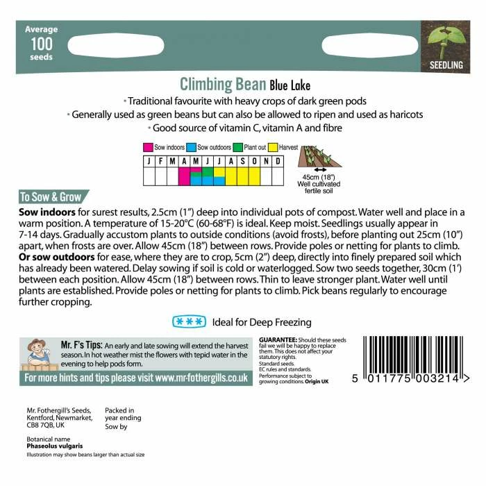 Climbing French Bean 'Blue Lake' Seeds | Phaseolus Vulgaris | By Mr Fothergills - Image 3