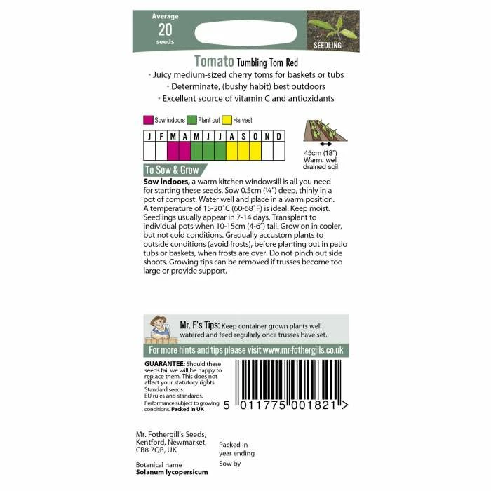 Tomato 'Tumbling Tom' Seeds | Solanum Lycopersicum | By Mr Fothergills - Image 3