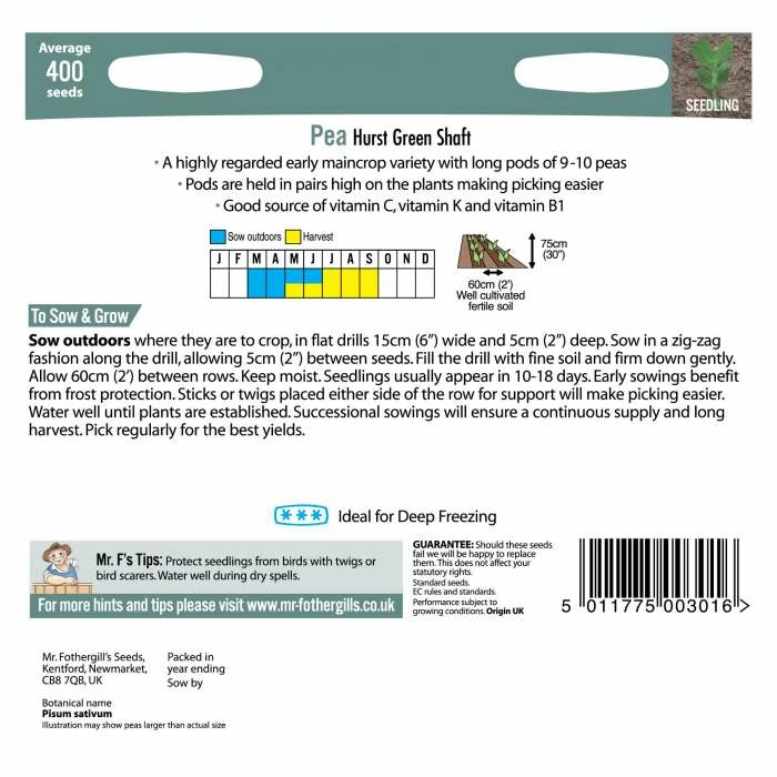 Pea 'Hurst Green Shaft' Seeds | Pisum Sativum | By Mr Fothergills - Image 3